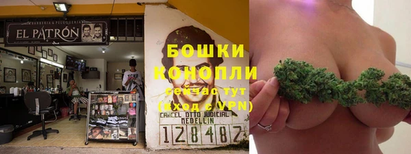 PSILOCYBIN Беломорск