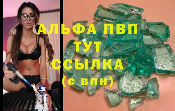 PSILOCYBIN Беломорск
